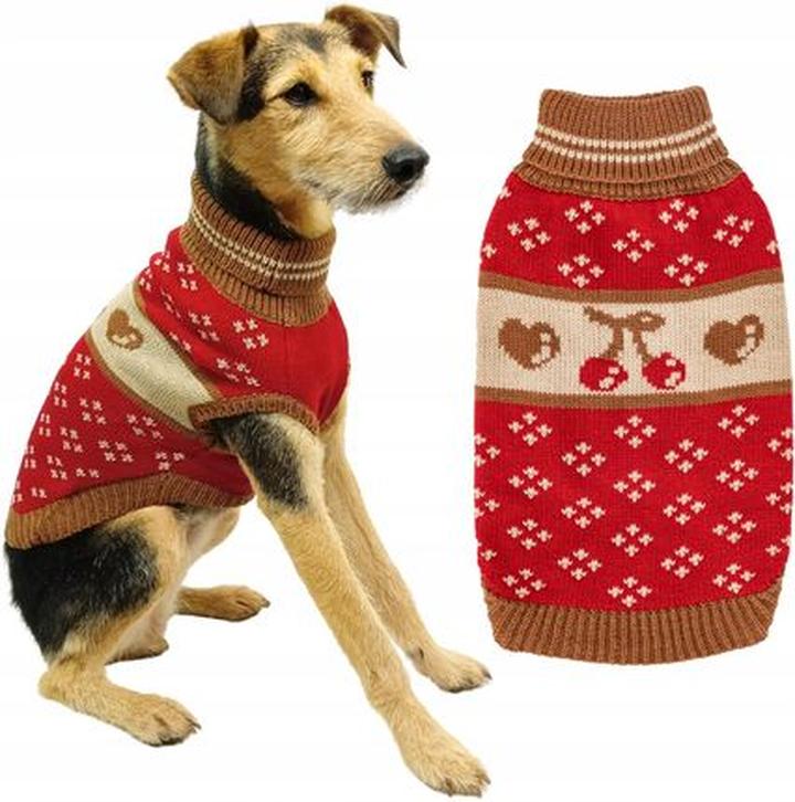 Bezpieczne karmienie psów