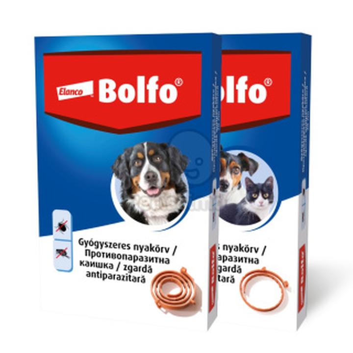 Alternatywy dla obroży przeciwpchelnej