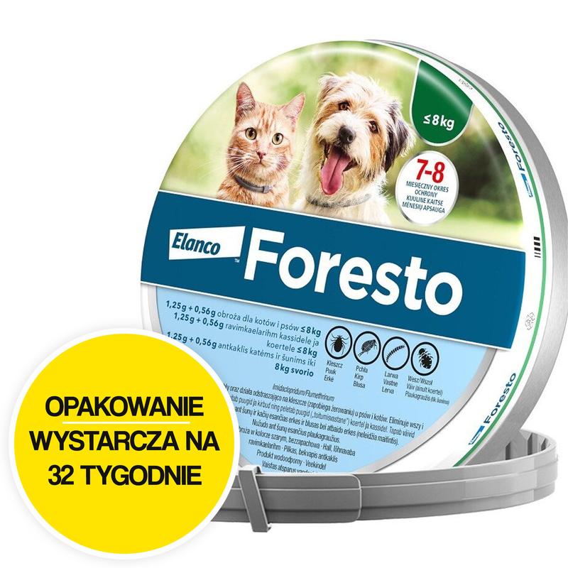 Bezpieczeństwo obroży dla wszystkich ras