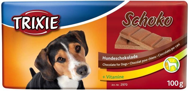 Objawy zatrucia u psów