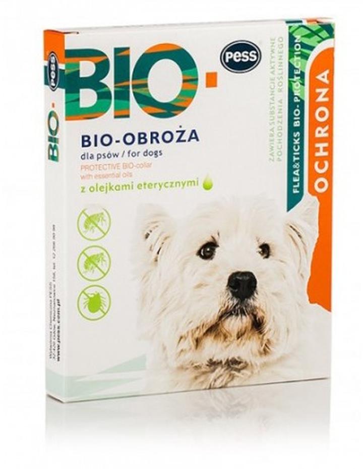 Porady zakupowe obroży dla kota