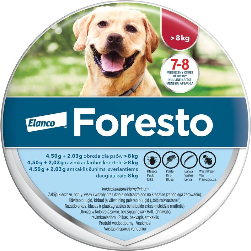 Skuteczność obroży dla psów