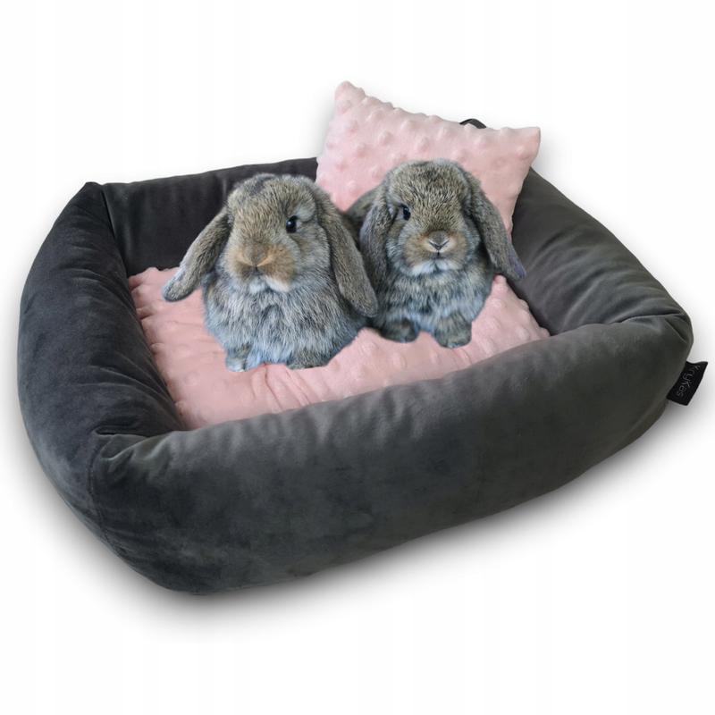 Comfortowe legowisko dla królika – jak je stworzyć, by zapewnić mu bezpieczeństwo?