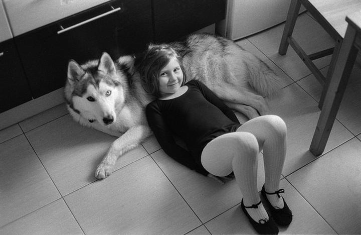 Husky i dzieci – odkryj zalety i wyzwania wychowywania tej rasy w rodzinie