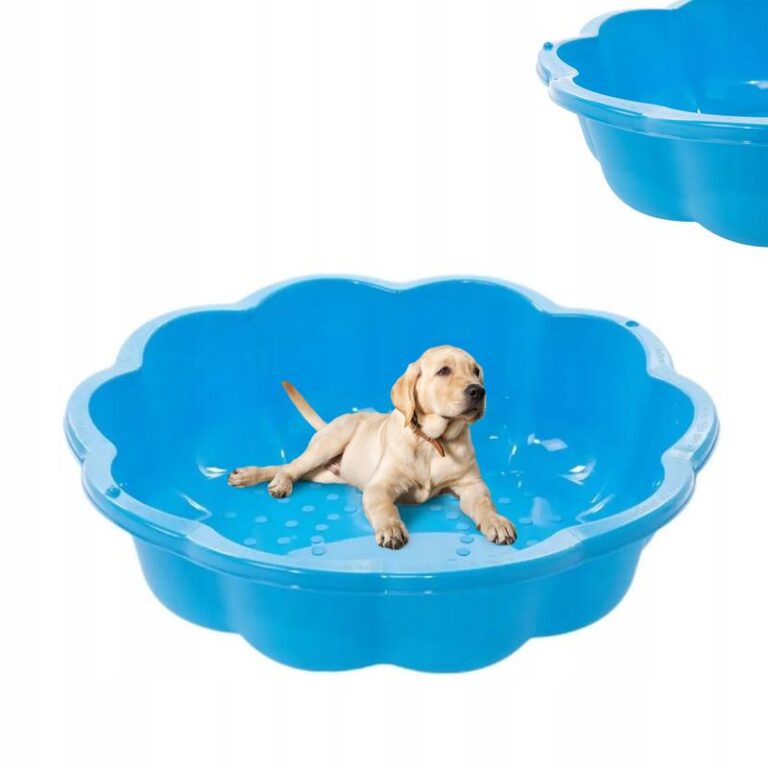 Idealny basen dla psa na lato: 9 najważniejszych cech, które musisz znać