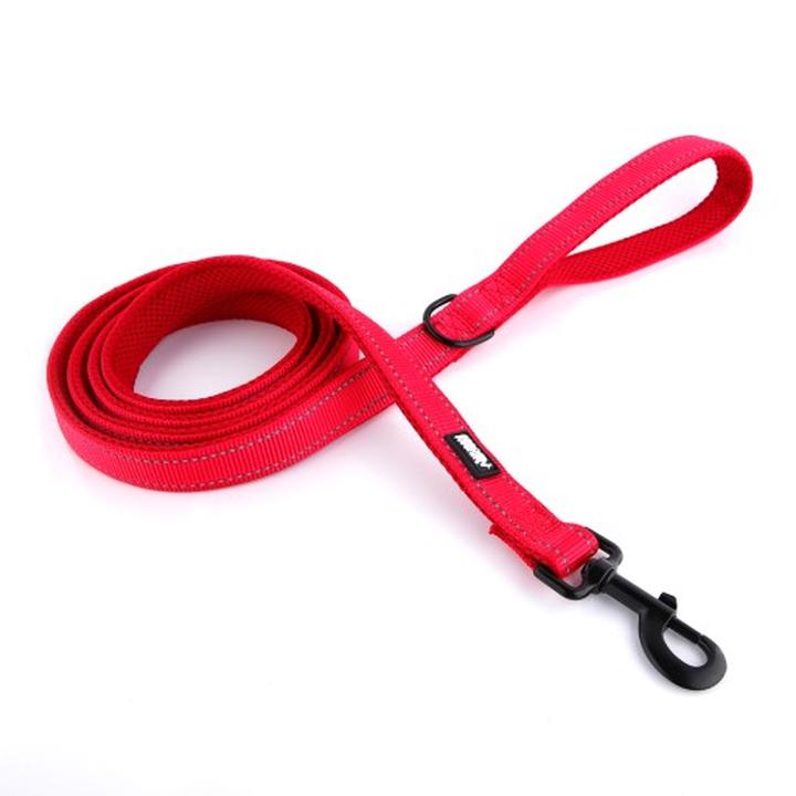 Jak wybrać idealną smycz dla szczeniaka, by zapewnić mu bezpieczeństwo?