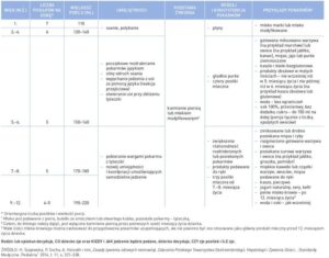 Kiedy i jak często karmić szczeniaka? Przewodnik po harmonogramie dla zdrowego wzrostu