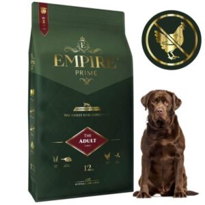 Sekrety wyboru idealnej karmy dla labradora – porady eksperta