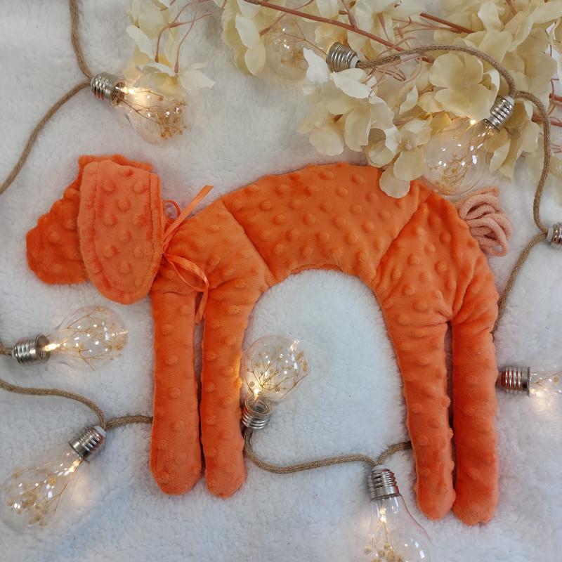 DIY akcesoria dla psa