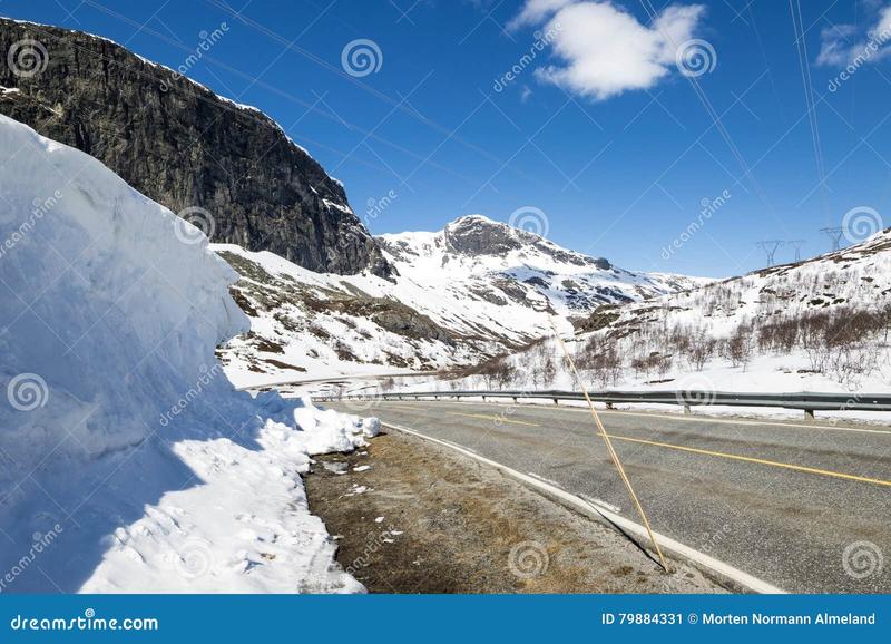 Kariera weterynarza Norwegia