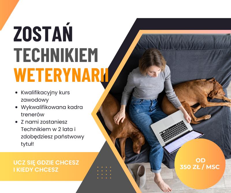 Zarobki weterynarzy w Polsce