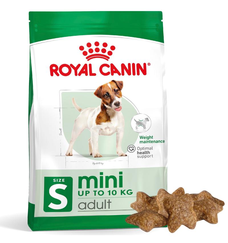 Zdrowie psów i kotów