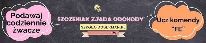 Zjadanie odchodów u szczeniaków