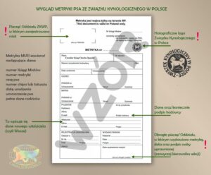 Ile kosztuje metryka dla psa i jakie korzyści niesie rodowód dla twojego pupila?