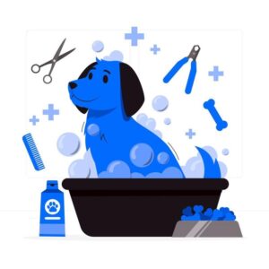 Jak dbać o higienę pupila: prawidłowe pranie legowiska dla psa bez błędów