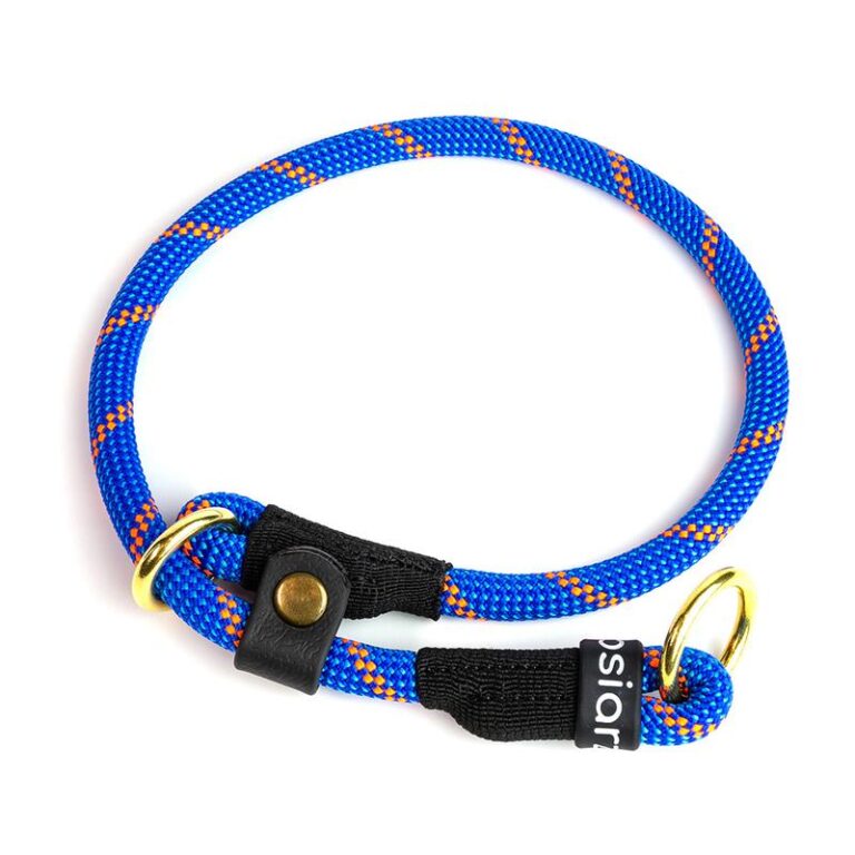 Obroża zaciskowa dla psa: Kluczowe zalety, wady i sposób działania