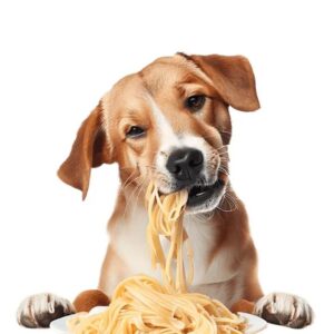Pies a makaron – jakie zasady bezpiecznego karmienia warto znać?
