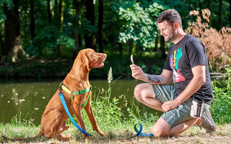 Skuteczne metody treningowe – jak wytresować psa, aby przestał gryźć?