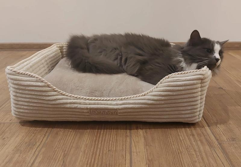 Stwórz idealne legowisko dla swojego kota – prosty poradnik szycia krok po kroku