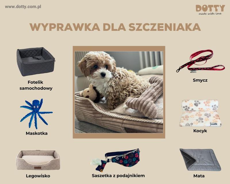 Akcesoria dla szczeniaka