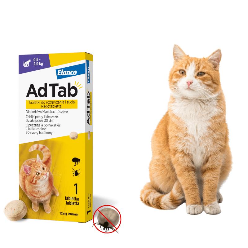 Akcesoria ochronne dla kotów