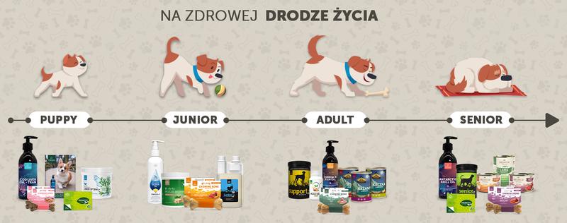 Etapy życia psa