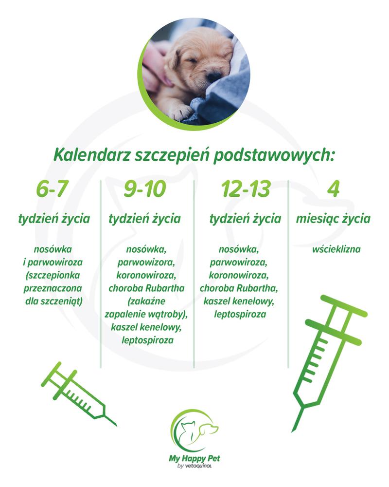 Kalendarz szczepień psa