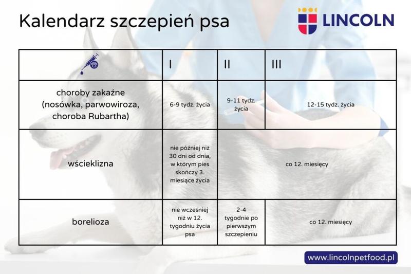 Odporność szczeniąt