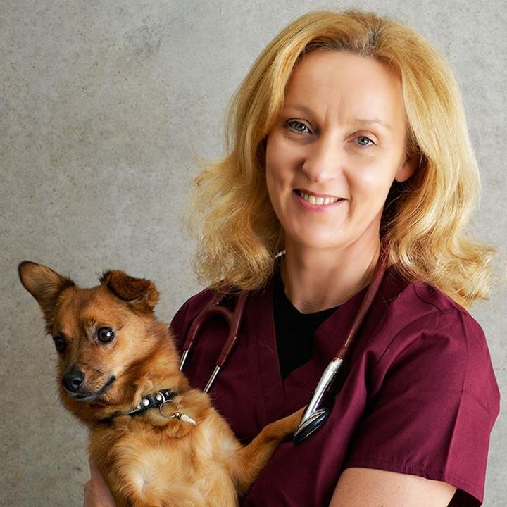 Usługi weterynaryjne