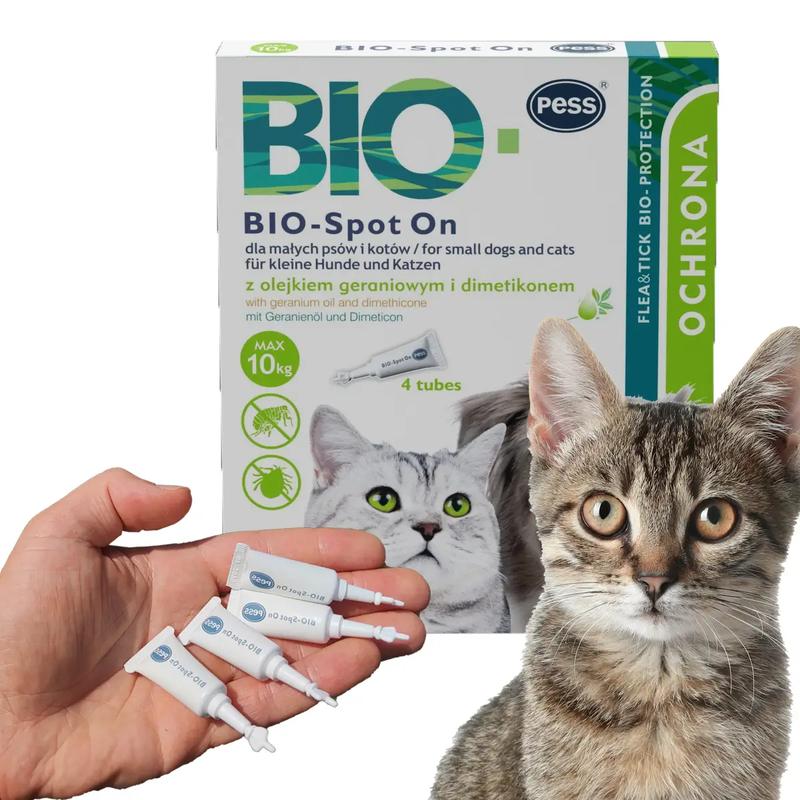 Usuwanie kleszczy u kotów