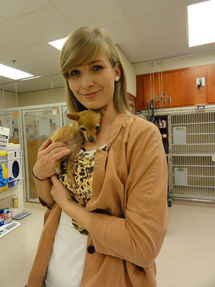 Warunki pracy weterynarzy