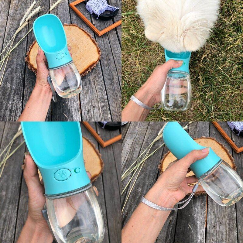 Wybór butelki na wodę