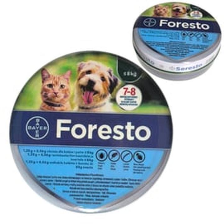 Wybór obroży dla pupila