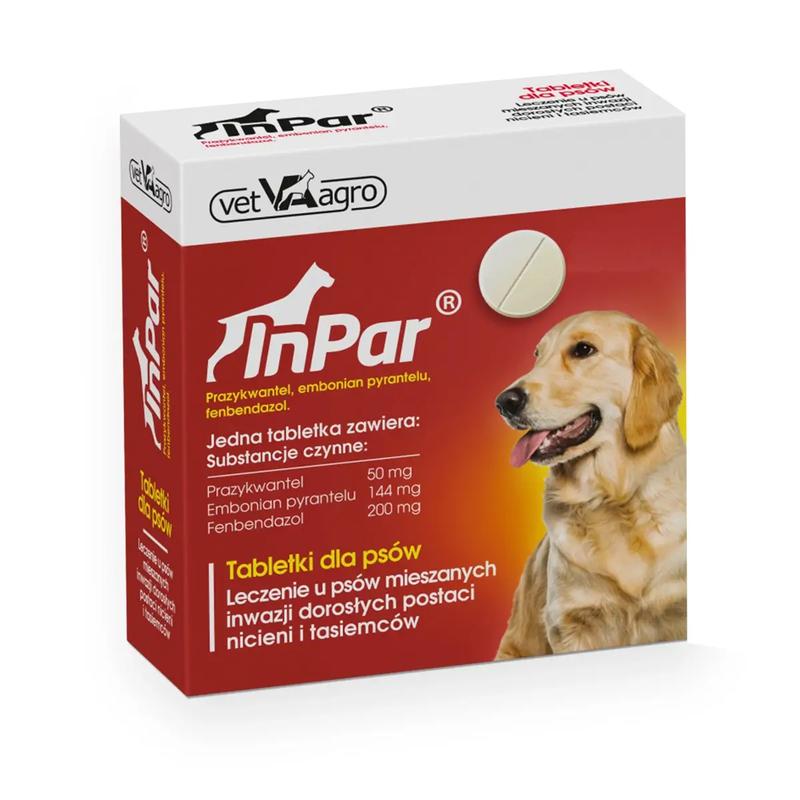 Zakażenia pasożytnicze u psów