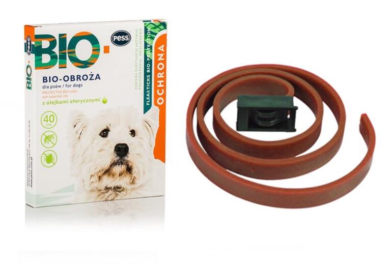 Kiedy warto założyć psu obrożę przeciwpchelną? Praktyczne porady i istotne informacje