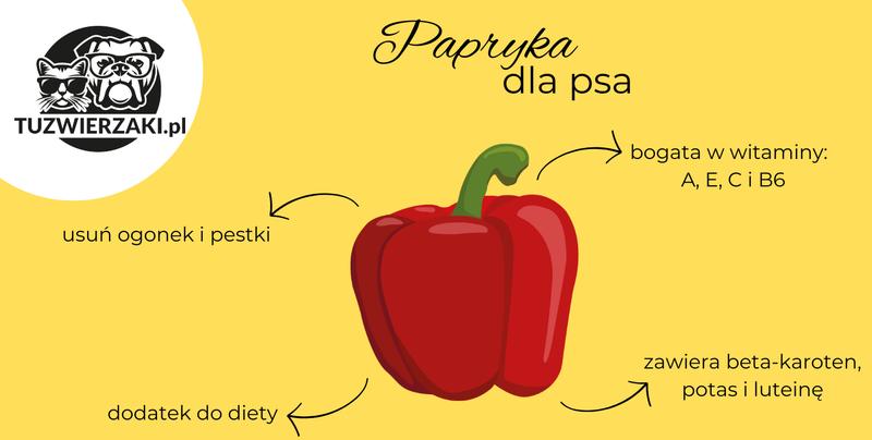 Bezpieczne jedzenie dla psów