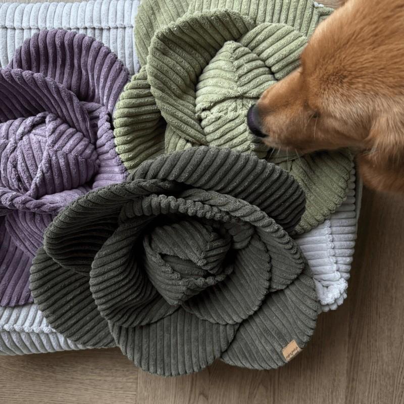 Kapusta w diecie psa