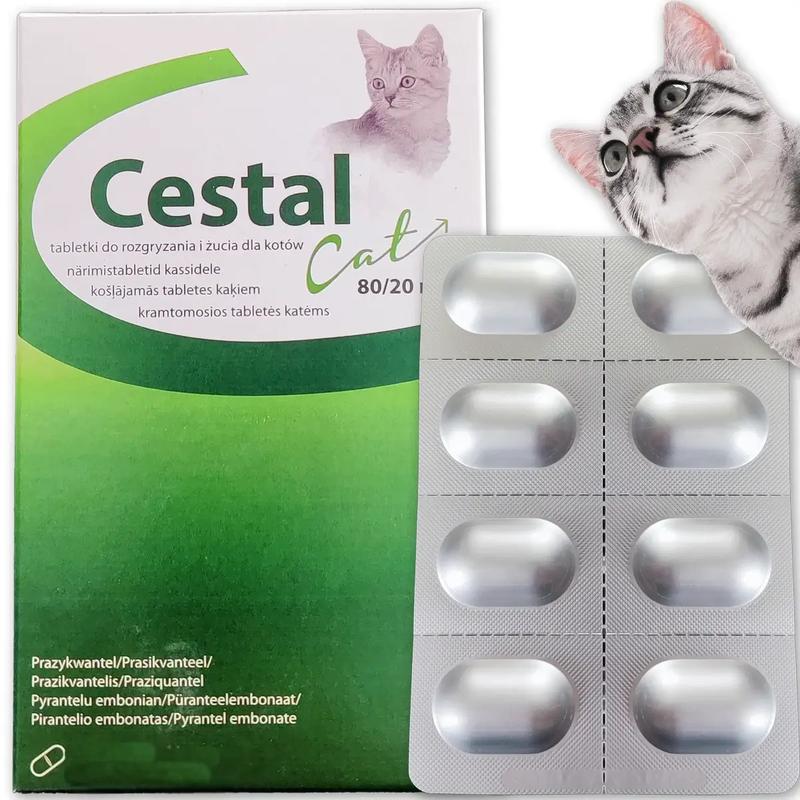 Objawy pasożytów u kota