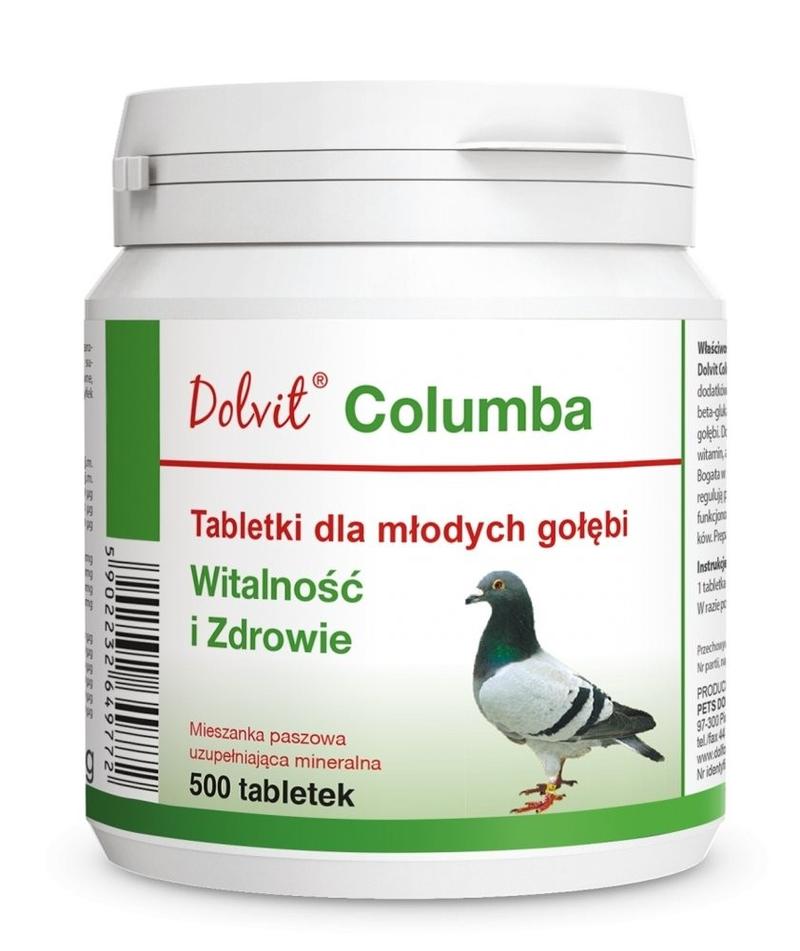 Różnorodność treningu gołębi