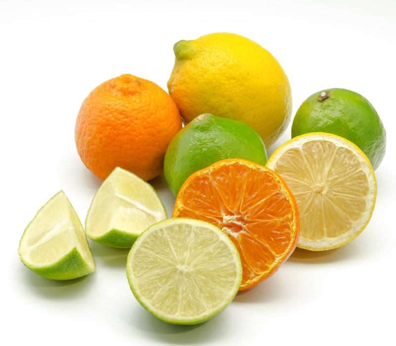 Układ pokarmowy psa