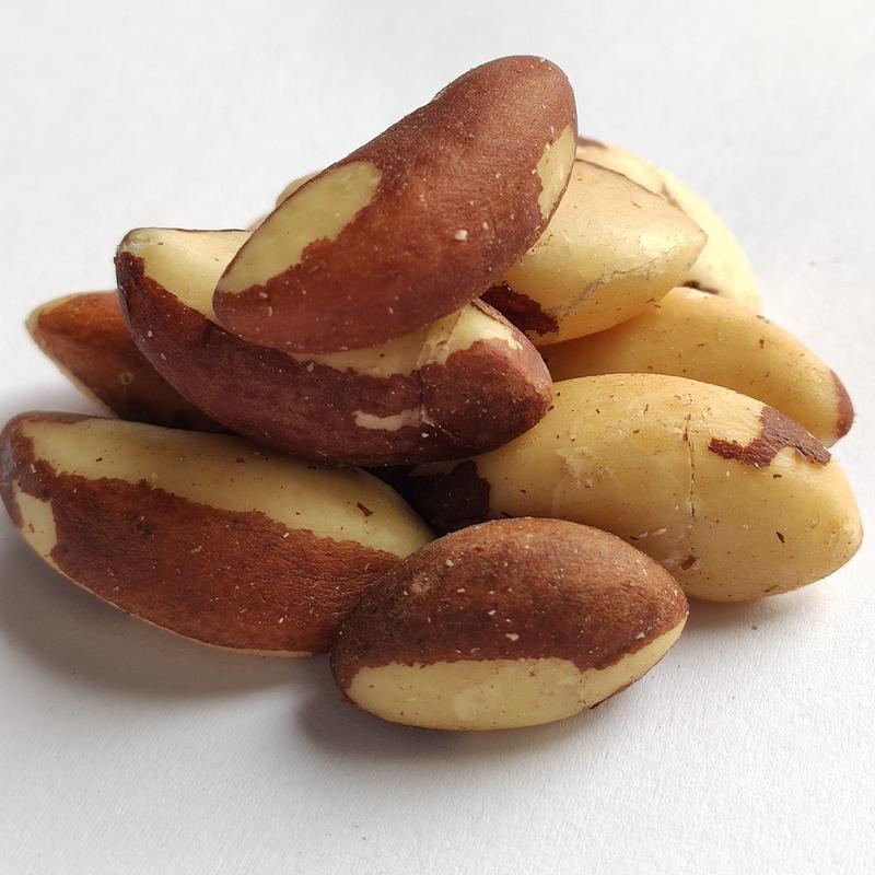 Czy orzechy brazylijskie są bezpieczne dla psów? Odkryj prawdę o ich wpływie na zdrowie pupila