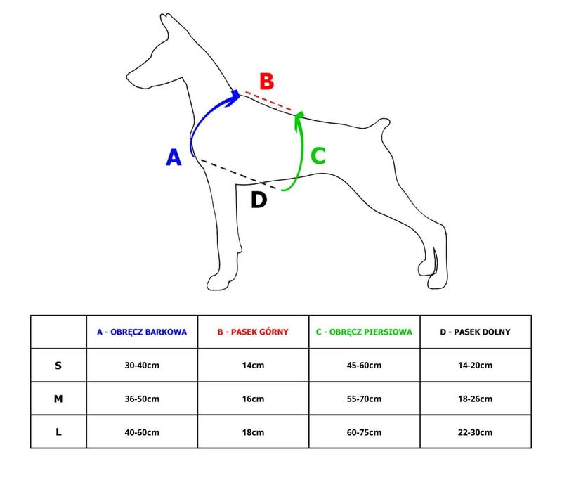 Stwórz wygodne szelki dla psa samodzielnie – prosty poradnik krok po kroku