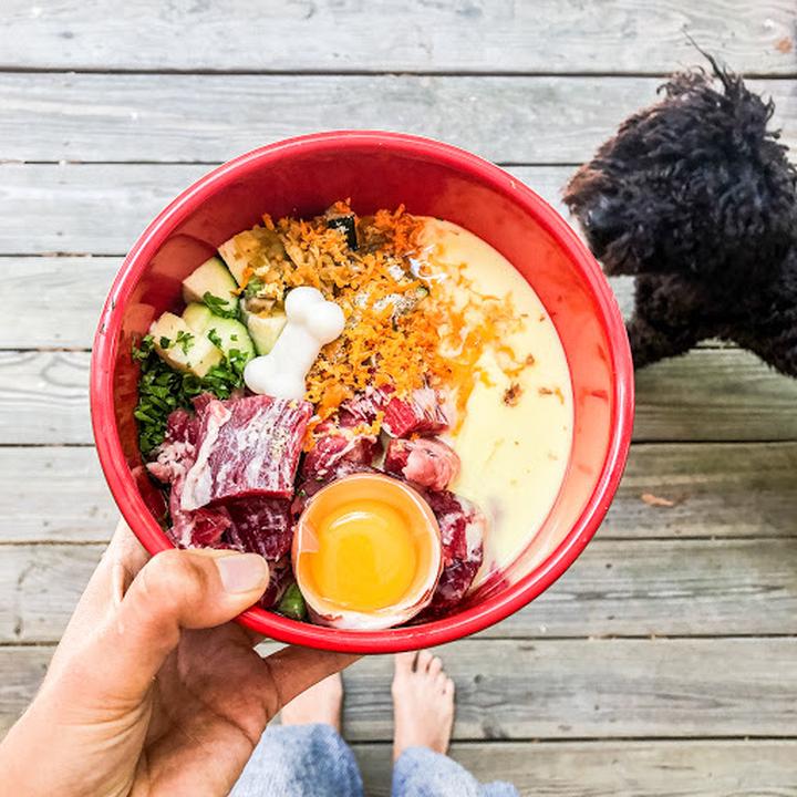 Dieta psa dobór składników