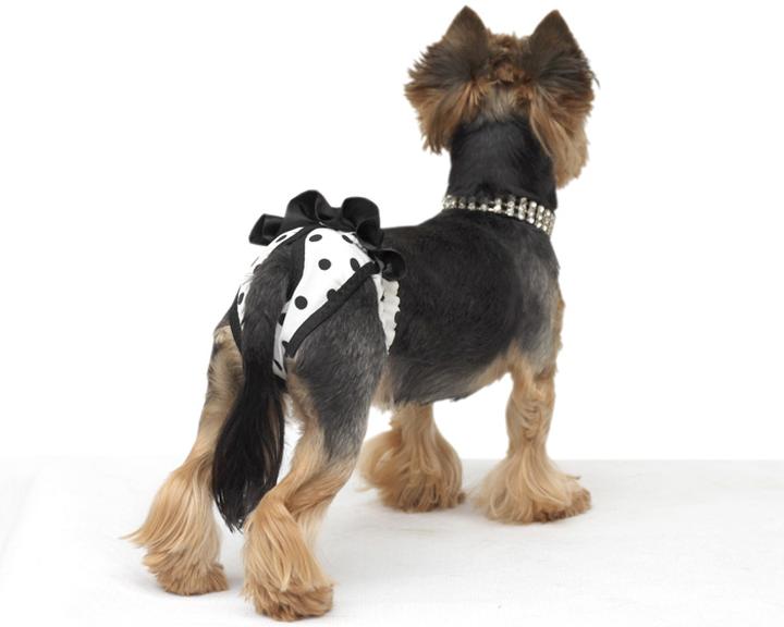 Krok po kroku szycie dla pupila