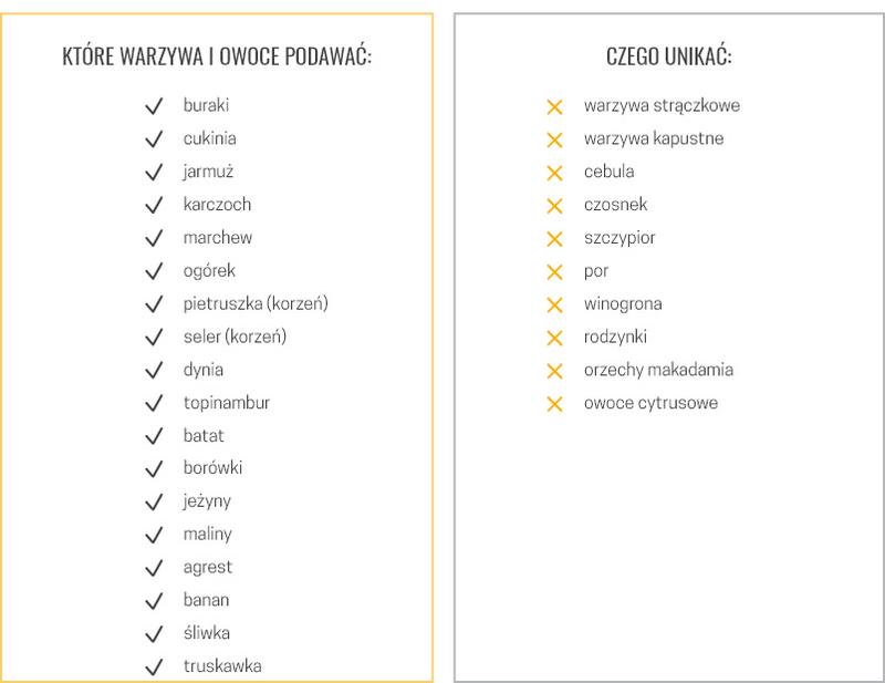 Przechowywanie i podawanie posiłków dla psa