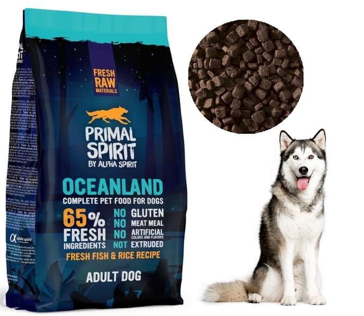 Czy karma rybna dla psa może być kluczem do lśniącej sierści? Oto fakty!