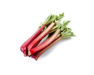 Czy rabarbar jest bezpieczny dla twojego psa? Odkryj zagrożenia dla zdrowia pupila