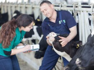 Ile naprawdę zarabia weterynarz po studiach? Poznaj realne zarobki i perspektywy w zawodzie