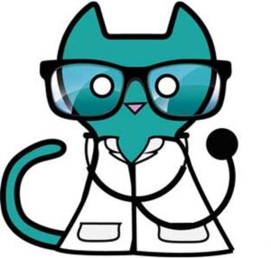 Jak nie przepłacać? Rzeczywiste koszty wizyty u weterynarza dla kota i sposoby na obniżenie rachunków