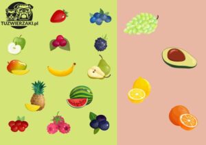 Kiedy szczeniak może spróbować owoców? Bezpieczne wybory dla małych smakoszy